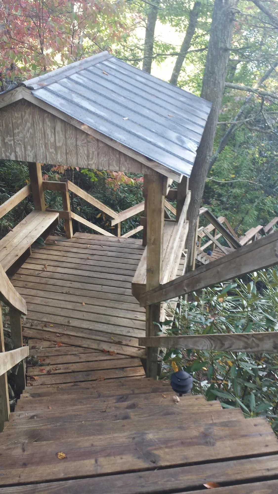 Metal roofed shelter over wooden steps on a wooded walkway — Skylight Repair & Installation work by our crew in Minco